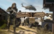 The RAAL LMG (Image via Activision)